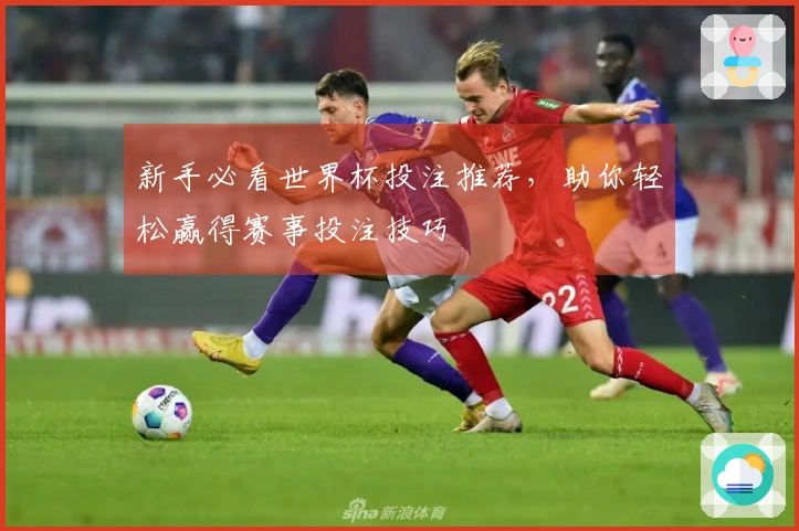 新手必看世界杯投注推荐，助你轻松赢得赛事投注技巧