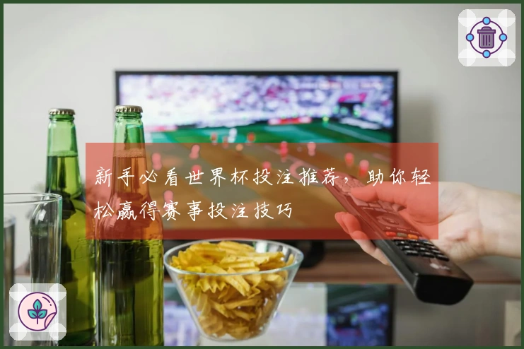 新手必看世界杯投注推荐，助你轻松赢得赛事投注技巧