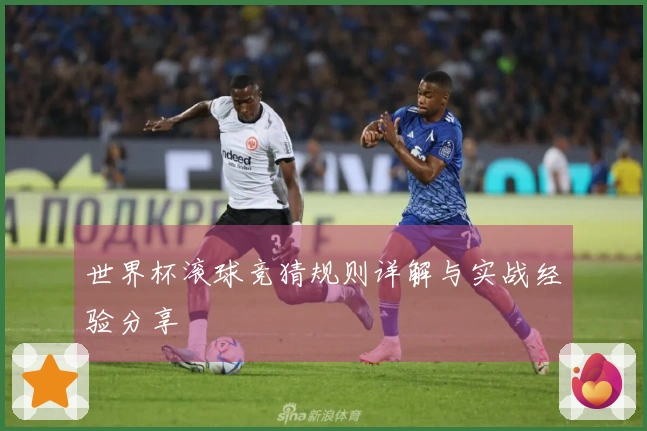 世界杯滚球竞猜规则详解与实战经验分享