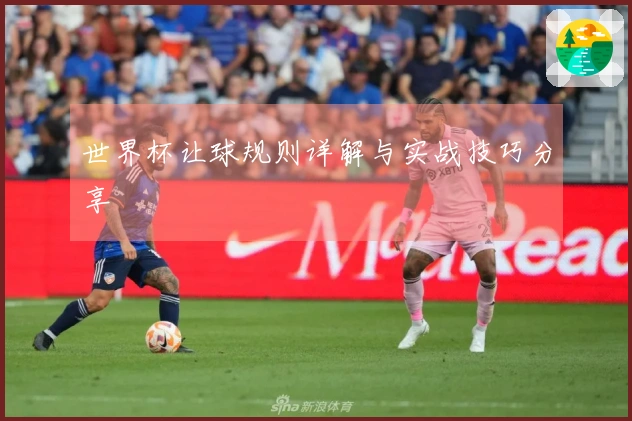 世界杯让球规则详解与实战技巧分享