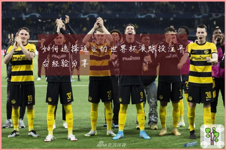 如何选择适合的世界杯滚球投注平台经验分享
