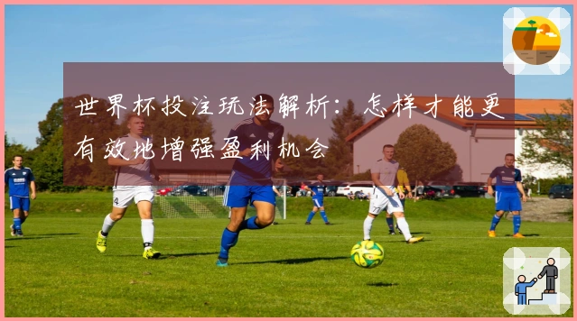 世界杯投注玩法解析：怎样才能更有效地增强盈利机会