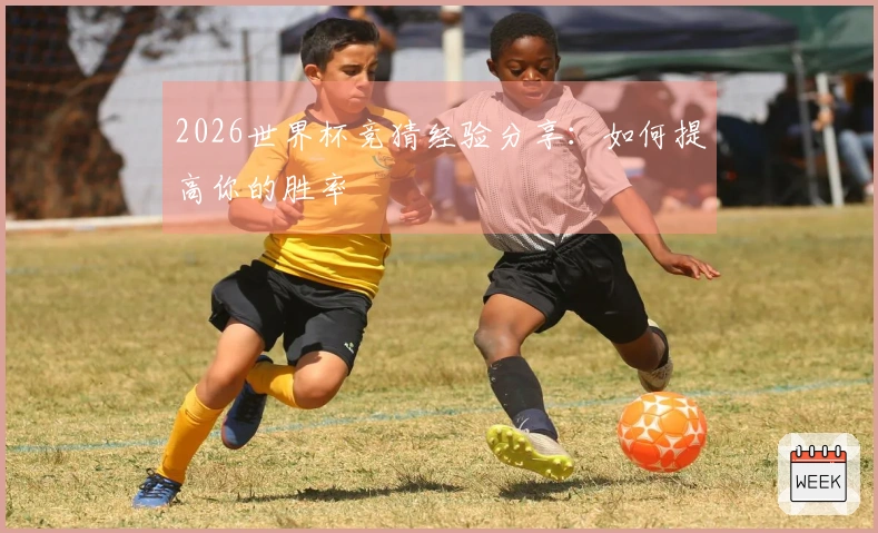 2026世界杯竞猜经验分享：如何提高你的胜率