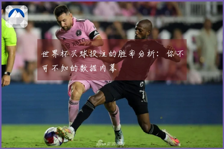 世界杯买球投注的胜率分析：你不可不知的数据内幕